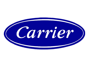 Carrier